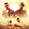 Te Querio - Single