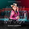 QUISIERA QUERERTE (ANCASH) - Single