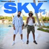 Skyami - Single