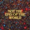 Not The End of The World cover