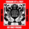 My Only Friend - Single