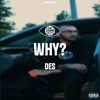 Why? - Single