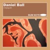 Daniel Ball - Introduction