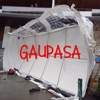 Gaupasa - Single