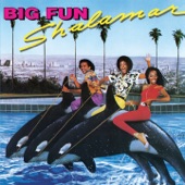 Let's Find The Time For Love by Shalamar