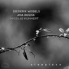 Diederik Wissels - Sundogs (feat. Nicolas Kummert)