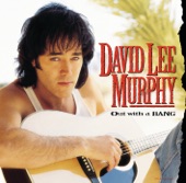 David Lee Murphy - Dust On The Bottle