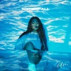 Waterfall - Single