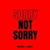 Sorry Not Sorry - Single
