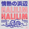 Halilim Halilim - Single