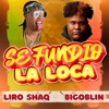 Se Fundio la Loca - Single