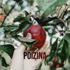 POIZINA - Single