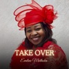 Take Over - Single