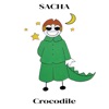 Crocodile - Single