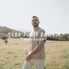 Tebe Jubit Zauvik - Single