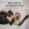 Idi gde si dobrodošao - Single