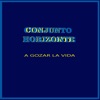 Conjunto Horizonte - A Gozar la Vida