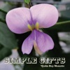 Simple Gifts