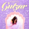 Gulzar - Single