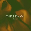 What I want - Single