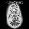 Clairvoyant Evanesce - Single