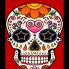 Los kings rd - Golpe