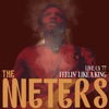 The Meters - They All Ask'd for You (Live)