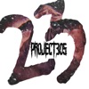 Project 305 - 23