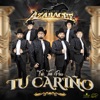 Fue Tan Poco Tu Cariño - Single