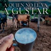 A Quien No le Va a Gustar - Single