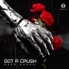 Got a Crush - Single