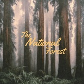 The National Forest - One More Working Day