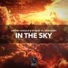 In the Sky - Single