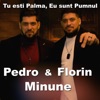 Tu esti Palma, Eu sunt Pumnul - Single