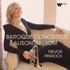 Trevor Pinnock - L'estro armonico, Op. 3: Violin Concerto No. 9 in D Major, RV 230 (Transcr. for Piccolo Trumpet & Baroque Orchestra by Simon Wright): I. Allegro