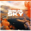 Birds In The Sky (Protein Bor Remix) - Single