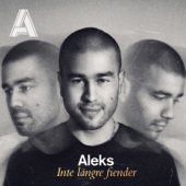 Inte längre fiender - Aleks