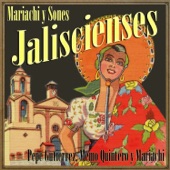 Mariachi y Sones Jaliscienses artwork