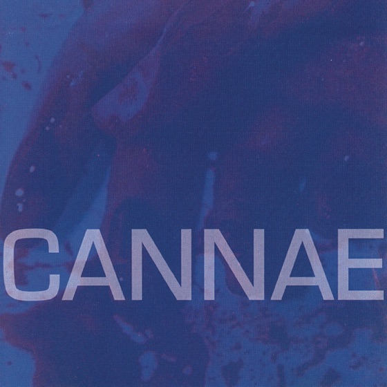 Cover artwork for Human Head