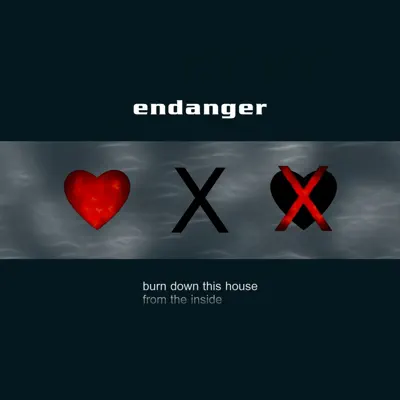 Burn Down This House from the Inside - Single - Endanger
