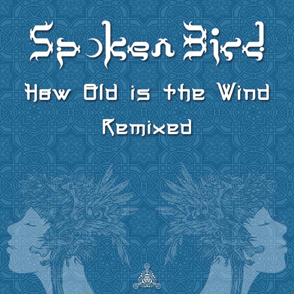 Soul in the wind remix. Spoken Bird. Spoken Bird кто это.