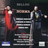 Bellini: Norma (Live) artwork