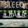 Perjalanan (feat. Kaka) - SleeQ