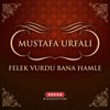 Felek Vurdu Bana Hamle - Single