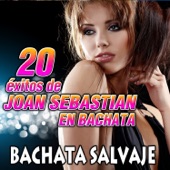 20 Éxitos de Joan Sebastián en Bachata artwork