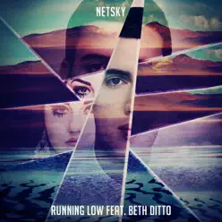 Running Low (feat. Beth Ditto) - Single - Netsky Running Low (feat. Beth Ditto) - Single - Netsky