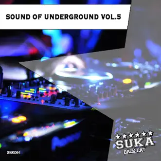 Sound of Underground, Vol. 5 by Various Artists album reviews, ratings, credits