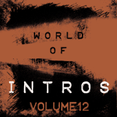 World of Intros, Vol. 12 (Special DJ Tools) - Verschillende artiesten