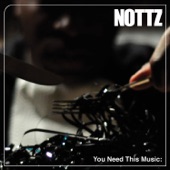 Nottz - No Money Down feat. Terese Cook