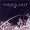 Circular Trend - Veruca Salt lyrics